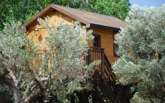 Palazzo Conforti Tree House Resort