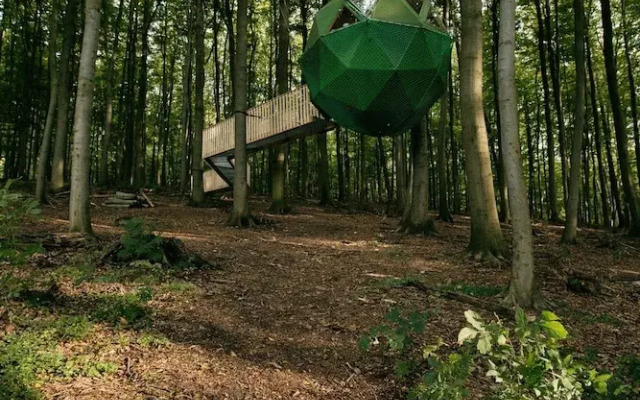 Robins Nest Baumhaushotel