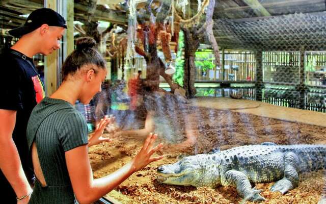 Modern Holiday Home in Salignac-Eyvigues with Swimming Pool