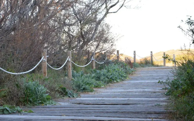 You & Co. Saler Beach Boutique