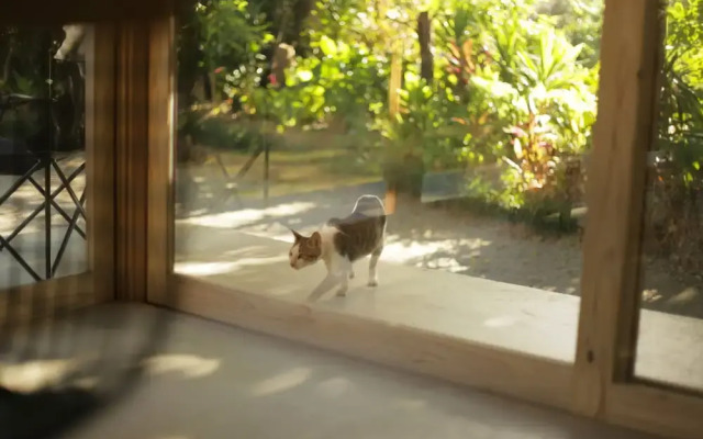 SHINMINKA Villa GUSHIKEN