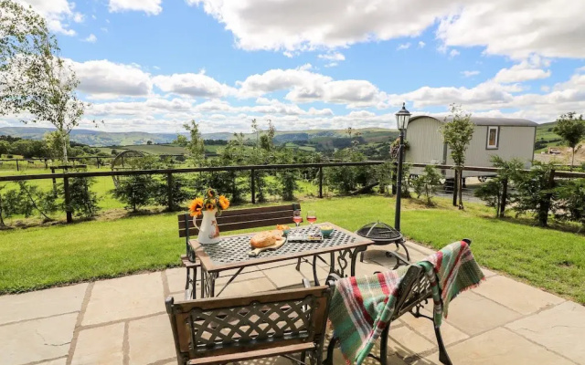 Meadow View