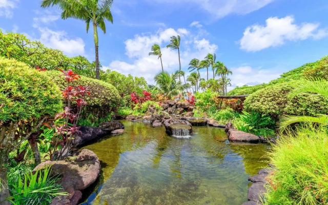 Napili Shores C116