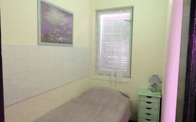 Apartments Opsenica