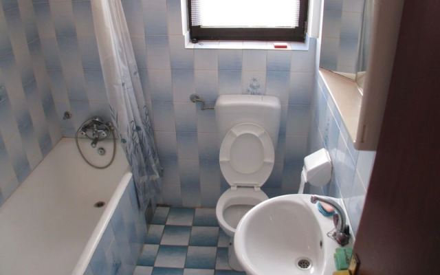 Apartment Vitko