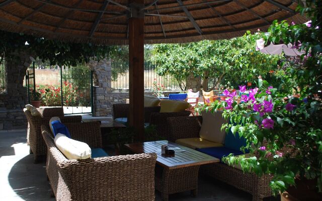 Siroco's Rooms And Studios