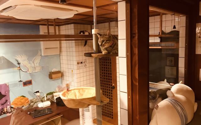 Cat Spa & Cat Ryokan by Neco Republic Osaka