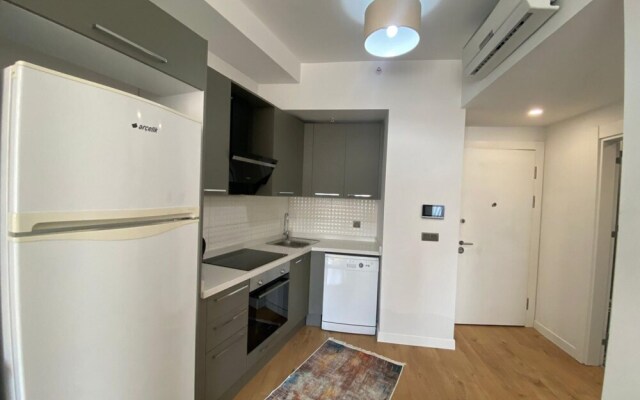 Business-friendly Residence Flat in Fikirtepe