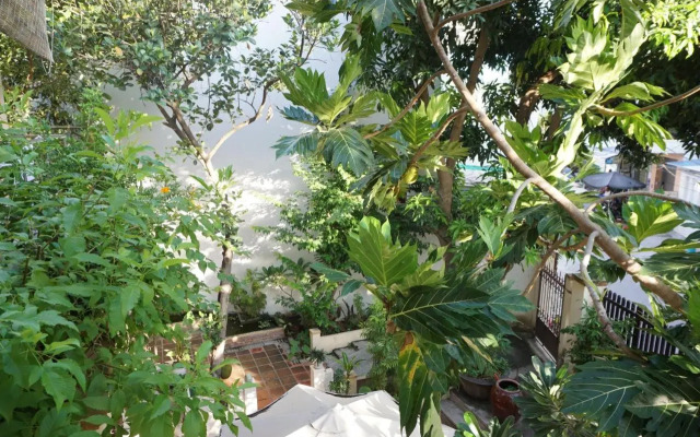 Moon house tropical garden - Valentine