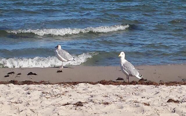 Ferienhaus "Sommerbrise"