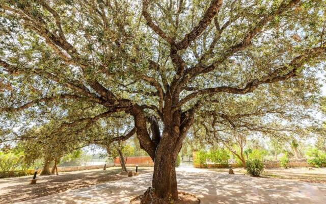 Finca Ses Rotetes