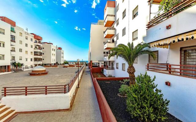 Palmeras Del Sur 2s