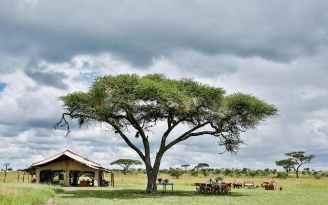 Pumzika Luxury Safari Camp - East Africa Camps