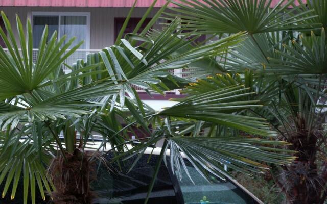 Express Inn & Suites
