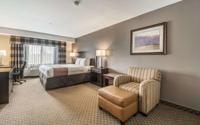 Quality Inn