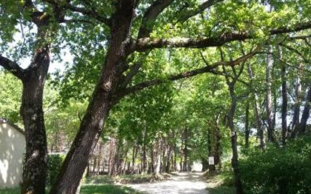 Camping Parc Saint Sauvayre
