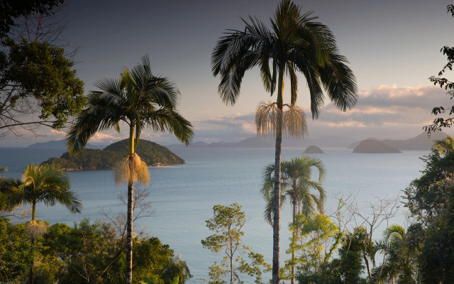 Banana Bamboo Ecolodge