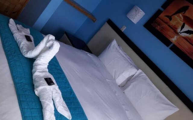 Hotel Boutique Delfin Dorado