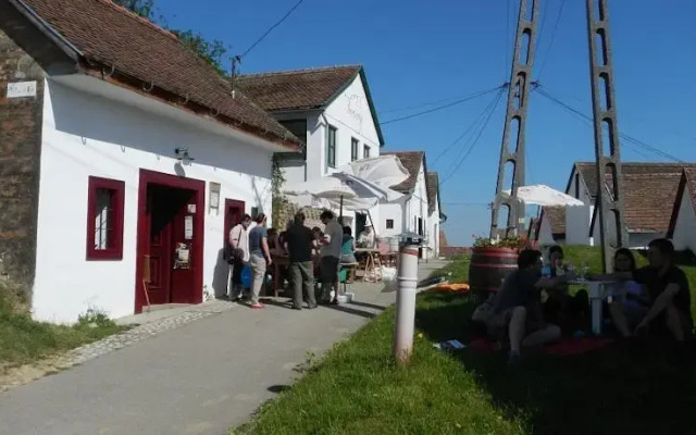 Borvirág Guesthouse