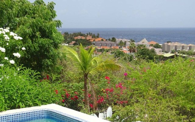 Enjoy Caribbean Sunset From Your Sun Terrace & Pool