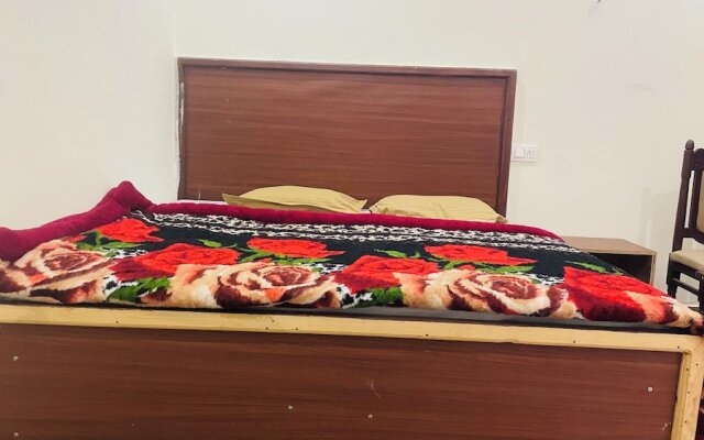 Hostel Abodes Trees of Heaven