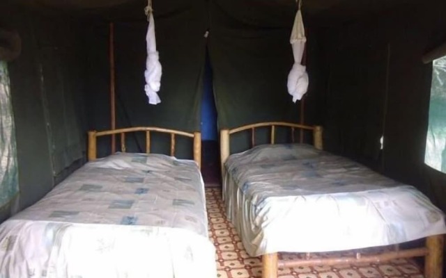 Miti-Mingi Eco Camp Masai Mara