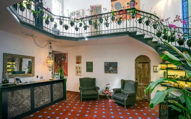 Orchid House Mexico City