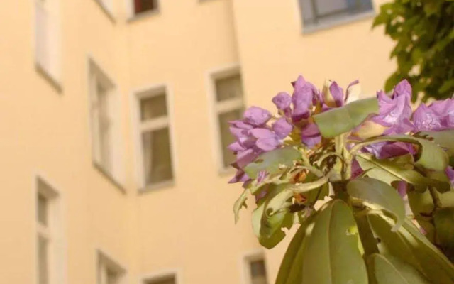 Old Town Apartments Schönhauser Allee Berlin