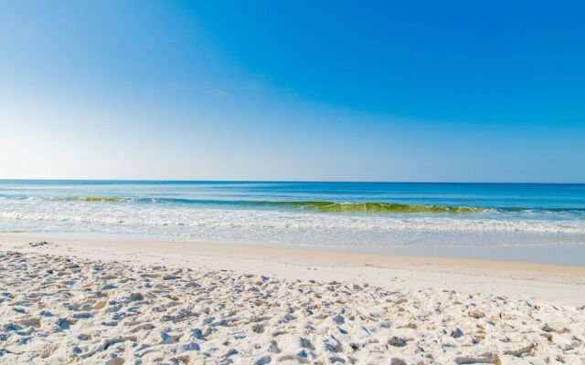 Driftwood Towers #1F - Palm View