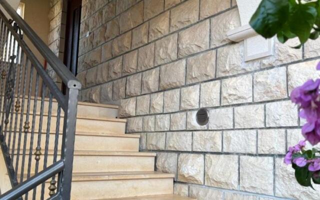 Dragi - 250 m from the beach - A1(6)