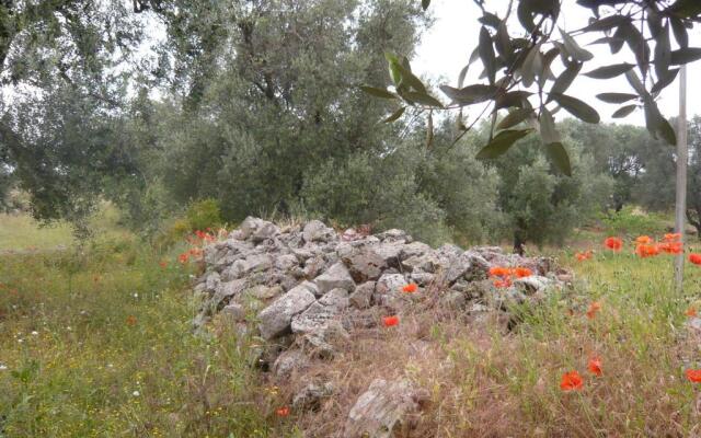 Villa Conte in Salento
