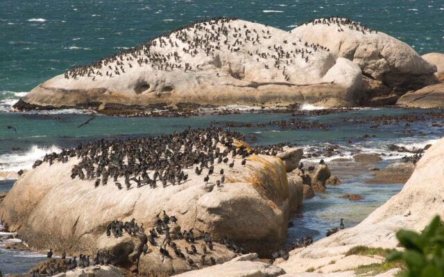 Boulders Beach Villa
