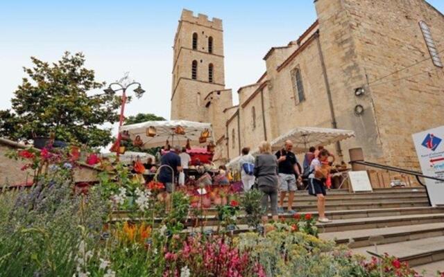 Appartement Argelès-sur-Mer, 3 pièces, 6 personnes - FR-1-225-453