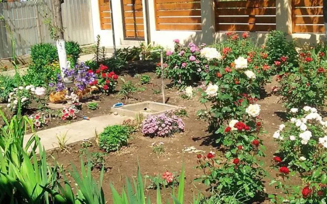 Casa Anda