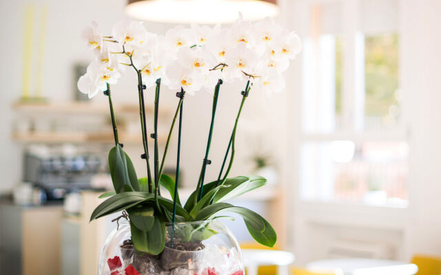 Hotel Al Giardinetto