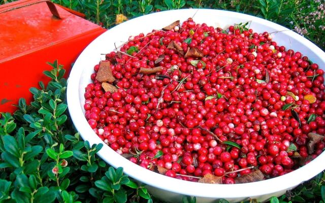 7 Person Holiday Home in Bullaren