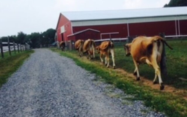 Flint Hill Farm AG