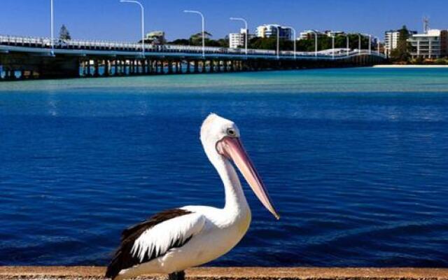 Sandbar 103 - Forster Main Beach