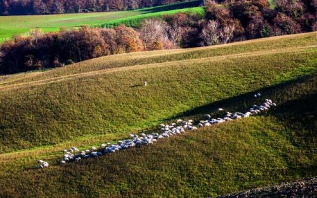 Appartamento Cipresso