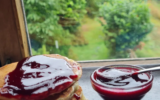 El Bosque de las Viñas