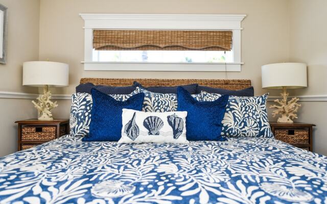 Nautilus by RedAwning