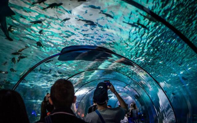 Marina Baie des Anges