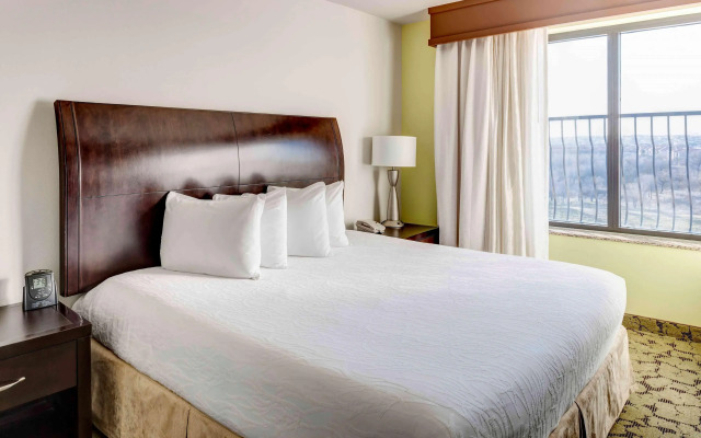 Hilton Garden Inn Dallas Lewisville