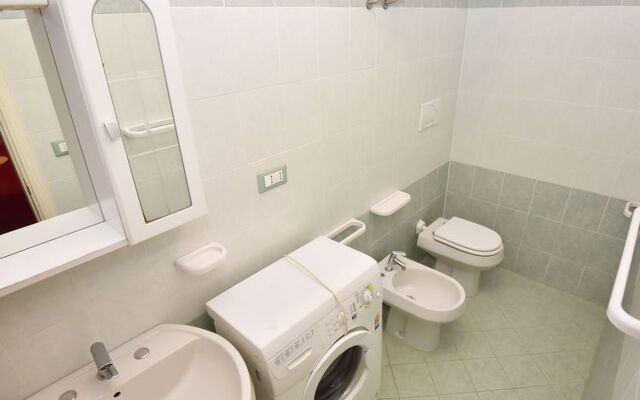 Green Marine, Palme, Ismare 22279