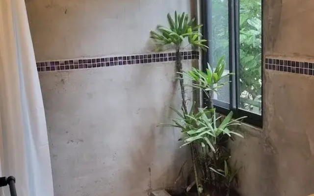 Cabañas Naturaleza