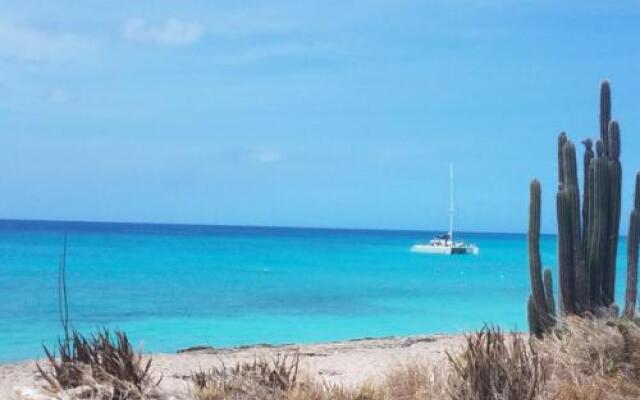 Palm Beach Paradise