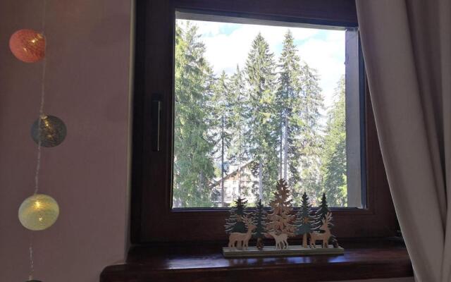 A43a Green Life Pamporovo