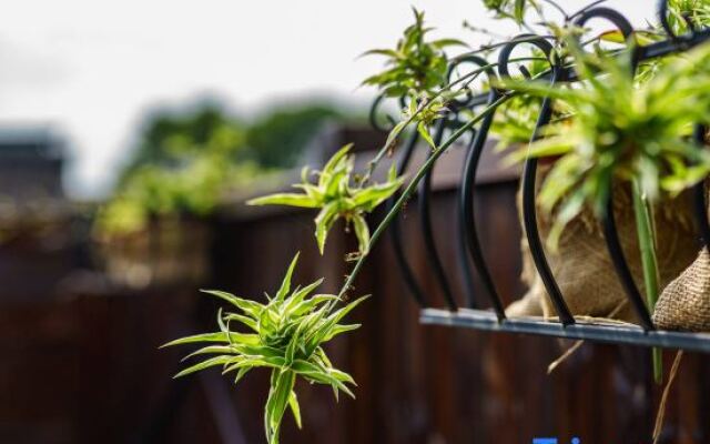 Shanghai Caoxi Bieyuan Homestay(Zhujiajiao Ancient Town Shop)