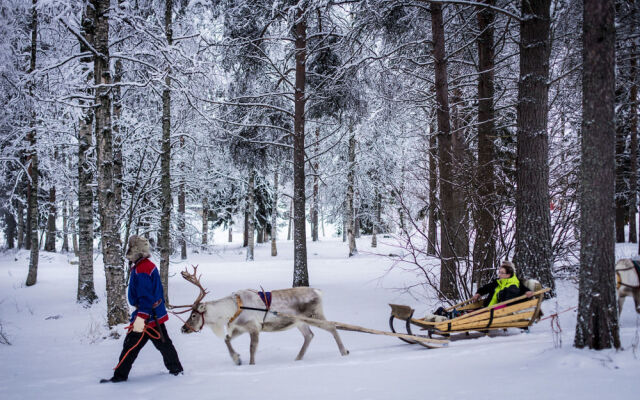 Lapland Northern Lights Hotel Ilveslinna