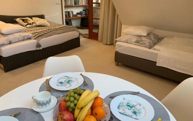 NEW Apartment Penthouse